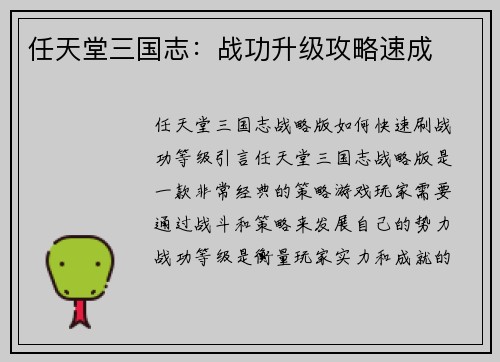 任天堂三国志：战功升级攻略速成