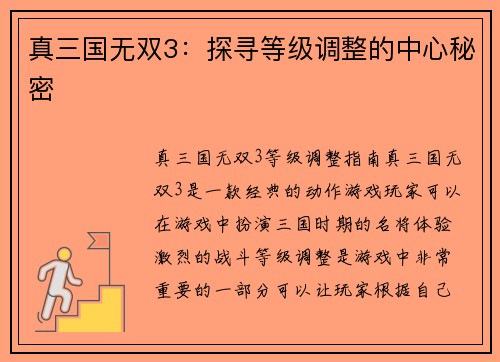 真三国无双3：探寻等级调整的中心秘密